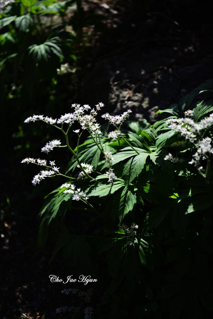 6c638ab09b203782f802dca7963b8258.jpg