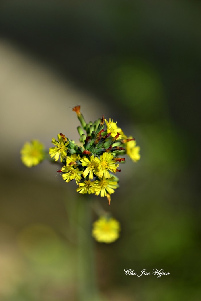 926041d709ad157b37d20f65be2e18a5.jpg